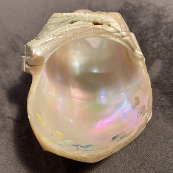 Antique Carved Green Turbo Shell Basket - Picture 2 of 9